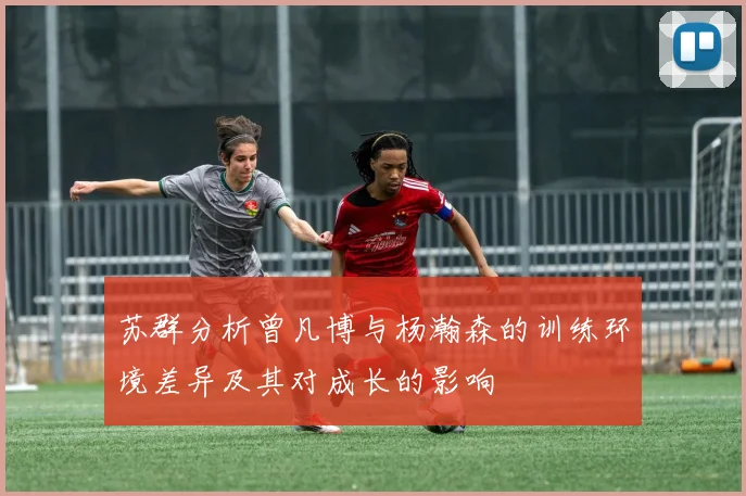 苏群分析曾凡博与杨瀚森的训练环境差异及其对成长的影响