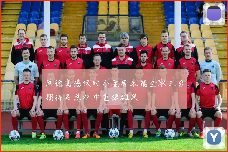 厄德高感叹对小蜜蜂未能全取三分期待足总杯中重振雄风